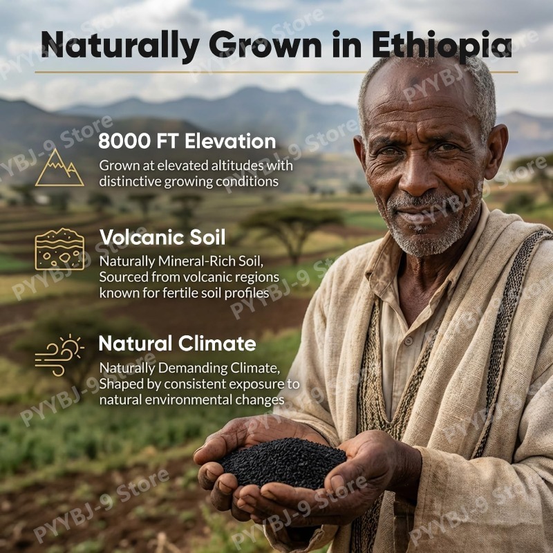 Ethiopian Black Seed Oil Softg - Castor Oil Cold Press review and price